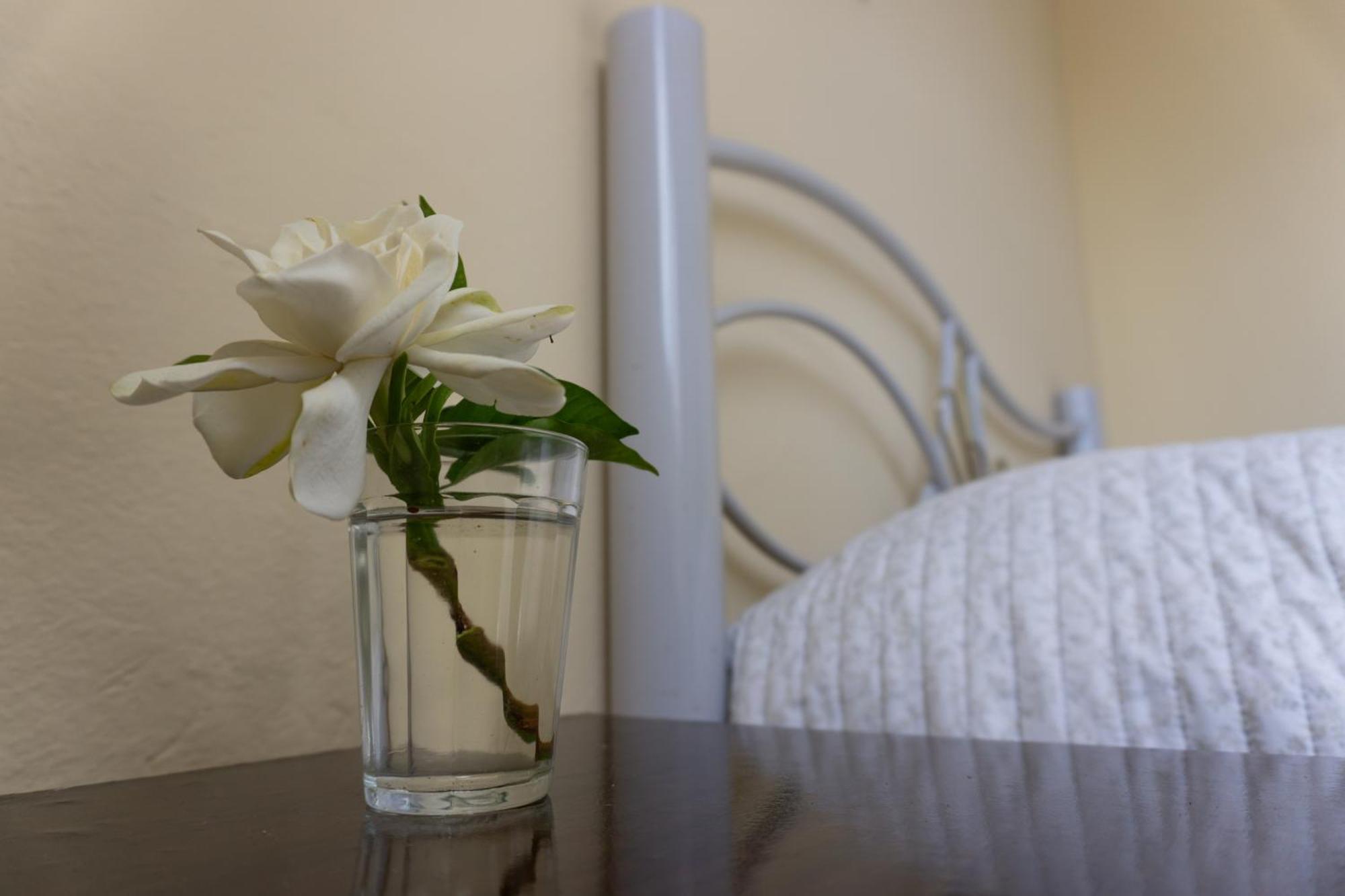 Apartmán Mi Casa Es Tu Casa Melo Exteriér fotografie